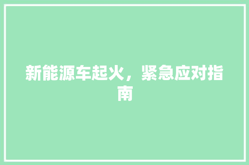 新能源车起火，紧急应对指南  第1张
