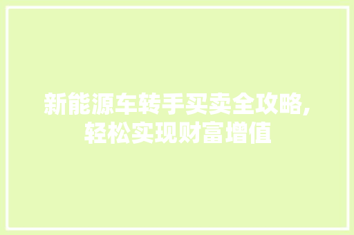 新能源车转手买卖全攻略,轻松实现财富增值