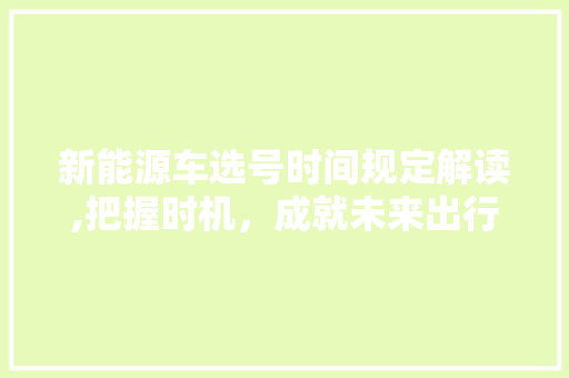 新能源车选号时间规定解读,把握时机，成就未来出行新篇章