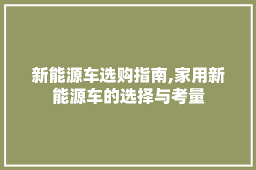 新能源车选购指南,家用新能源车的选择与考量