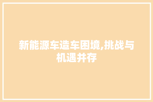 新能源车造车困境,挑战与机遇并存