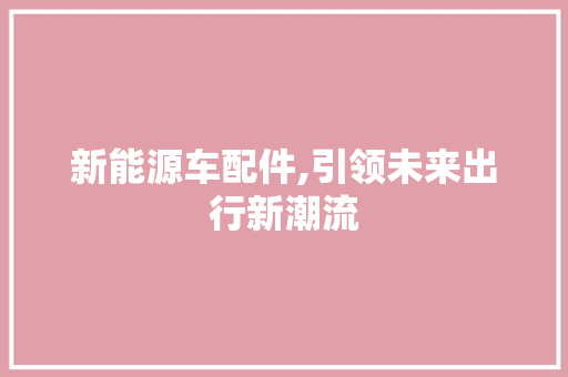 新能源车配件,引领未来出行新潮流