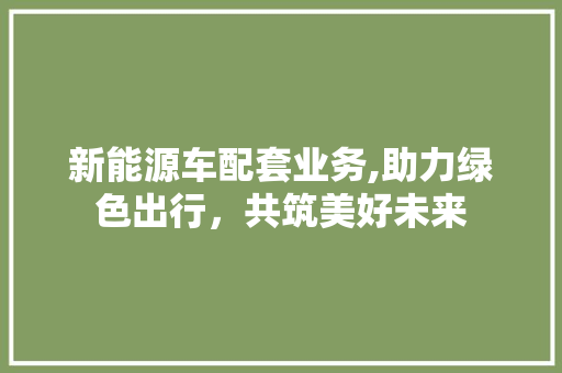 新能源车配套业务,助力绿色出行，共筑美好未来  第1张