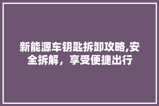 新能源车钥匙拆卸攻略,安全拆解，享受便捷出行  第1张