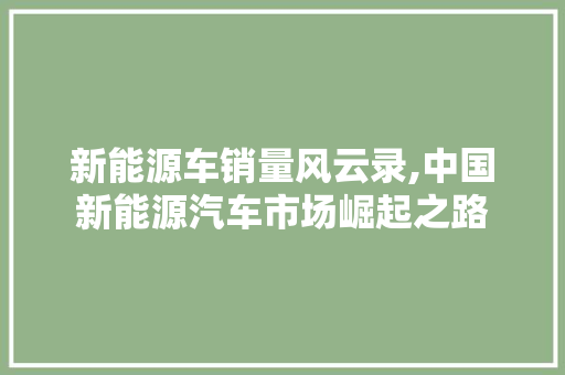 新能源车销量风云录,中国新能源汽车市场崛起之路