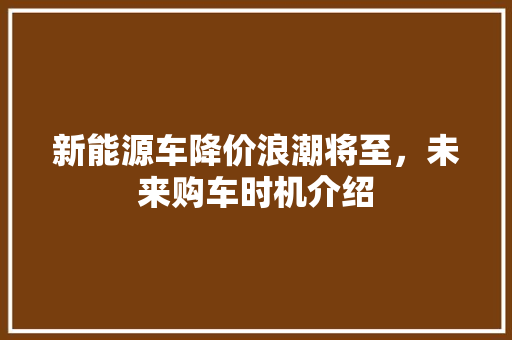 新能源车降价浪潮将至，未来购车时机介绍