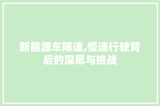 新能源车限速,慢速行驶背后的深思与挑战  第1张