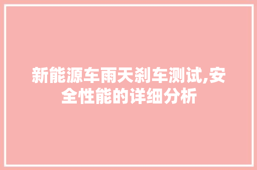 新能源车雨天刹车测试,安全性能的详细分析