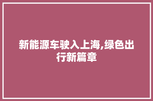 新能源车驶入上海,绿色出行新篇章