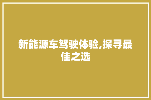 新能源车驾驶体验,探寻最佳之选