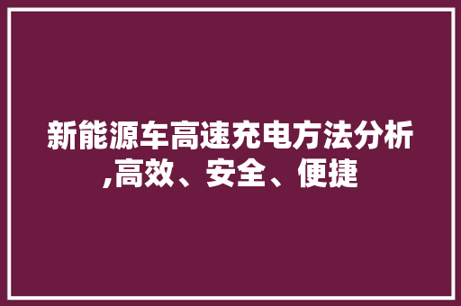 新能源车高速充电方法分析,高效、安全、便捷