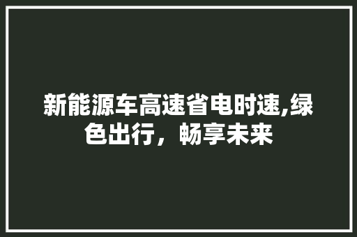 新能源车高速省电时速,绿色出行，畅享未来