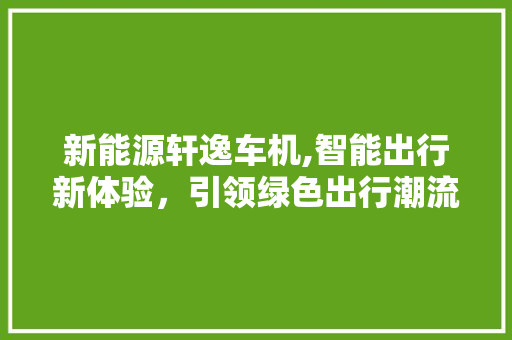 新能源轩逸车机,智能出行新体验，引领绿色出行潮流