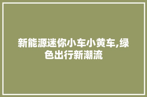 新能源迷你小车小黄车,绿色出行新潮流