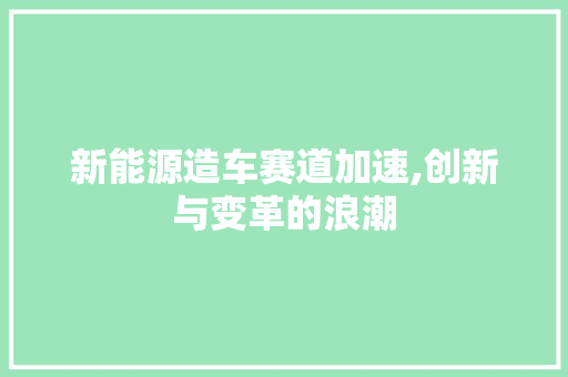 新能源造车赛道加速,创新与变革的浪潮  第1张