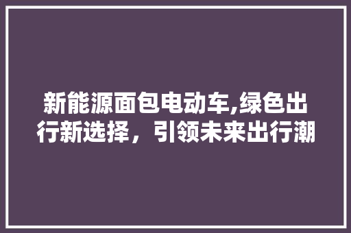 新能源面包电动车,绿色出行新选择，引领未来出行潮流