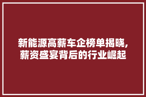 新能源高薪车企榜单揭晓,薪资盛宴背后的行业崛起