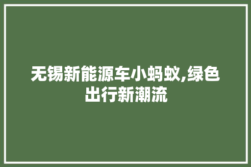 无锡新能源车小蚂蚁,绿色出行新潮流  第1张
