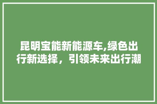 昆明宝能新能源车,绿色出行新选择，引领未来出行潮流  第1张