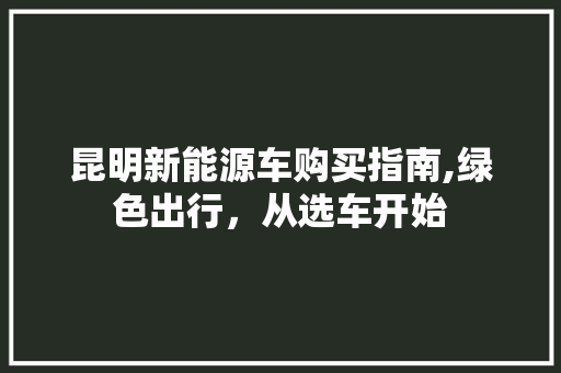 昆明新能源车购买指南,绿色出行，从选车开始  第1张