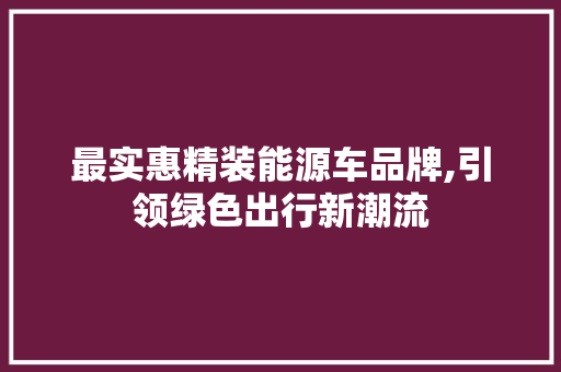 最实惠精装能源车品牌,引领绿色出行新潮流