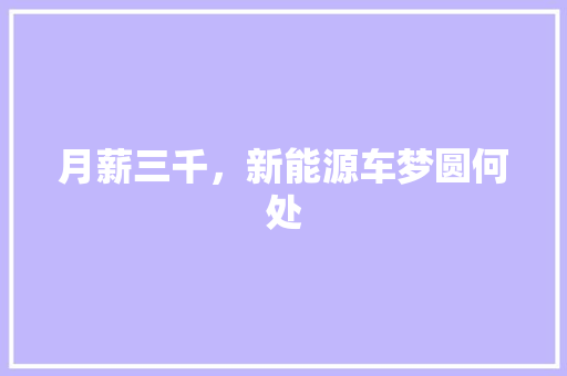 月薪三千，新能源车梦圆何处  第1张