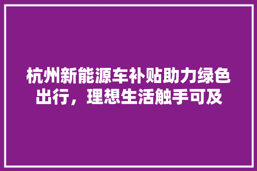 杭州新能源车补贴助力绿色出行，理想生活触手可及