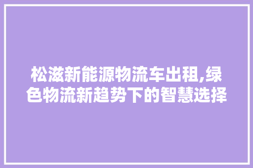 松滋新能源物流车出租,绿色物流新趋势下的智慧选择