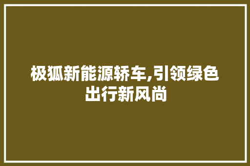 极狐新能源轿车,引领绿色出行新风尚