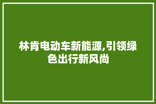 林肯电动车新能源,引领绿色出行新风尚