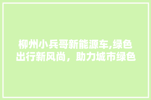 柳州小兵哥新能源车,绿色出行新风尚，助力城市绿色发展