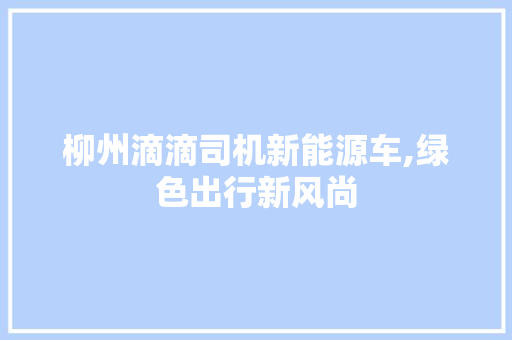 柳州滴滴司机新能源车,绿色出行新风尚
