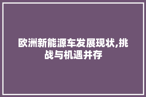 欧洲新能源车发展现状,挑战与机遇并存
