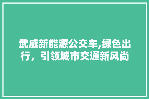 武威新能源公交车,绿色出行，引领城市交通新风尚