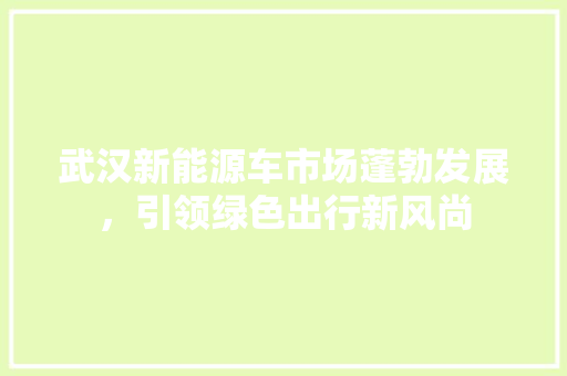 武汉新能源车市场蓬勃发展，引领绿色出行新风尚