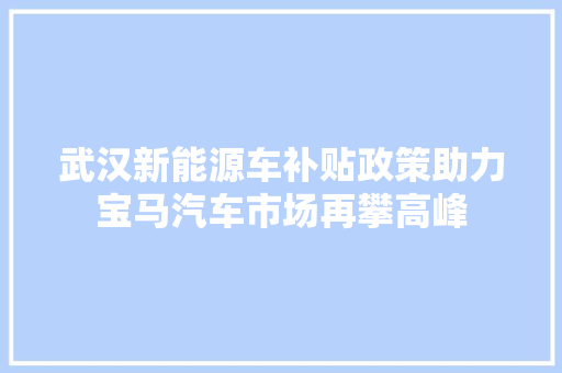 武汉新能源车补贴政策助力宝马汽车市场再攀高峰