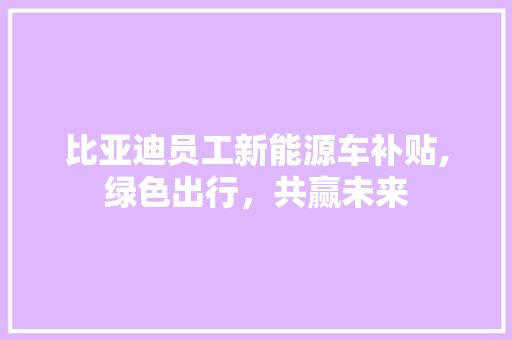 比亚迪员工新能源车补贴,绿色出行，共赢未来