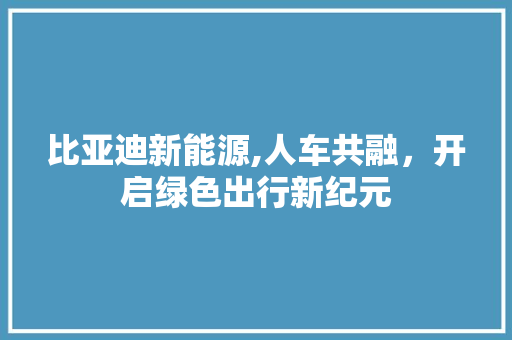 比亚迪新能源,人车共融，开启绿色出行新纪元  第1张