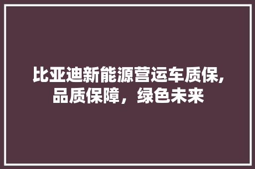 比亚迪新能源营运车质保,品质保障，绿色未来