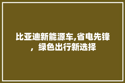 比亚迪新能源车,省电先锋，绿色出行新选择