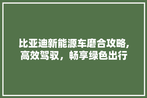 比亚迪新能源车磨合攻略,高效驾驭，畅享绿色出行