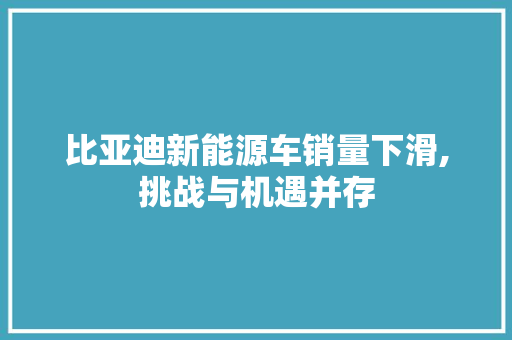 比亚迪新能源车销量下滑,挑战与机遇并存