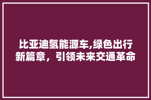 比亚迪氢能源车,绿色出行新篇章，引领未来交通革命