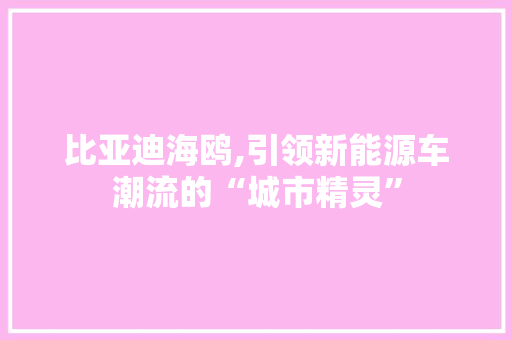 比亚迪海鸥,引领新能源车潮流的“城市精灵”  第1张