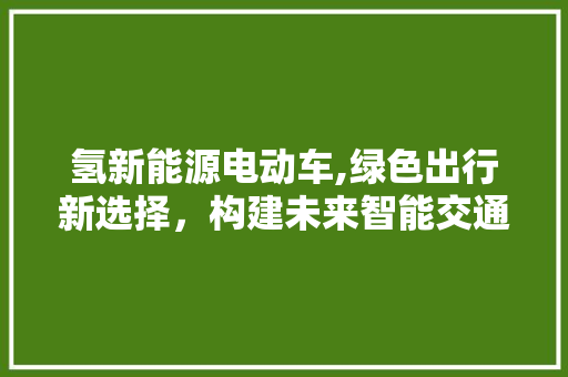 氢新能源电动车,绿色出行新选择，构建未来智能交通