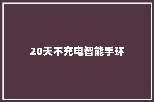 20天不充电智能手环  第1张