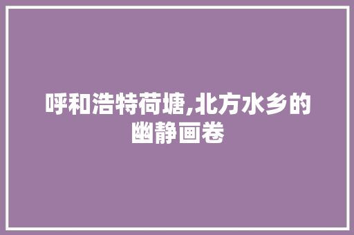 呼和浩特荷塘,北方水乡的幽静画卷  第1张