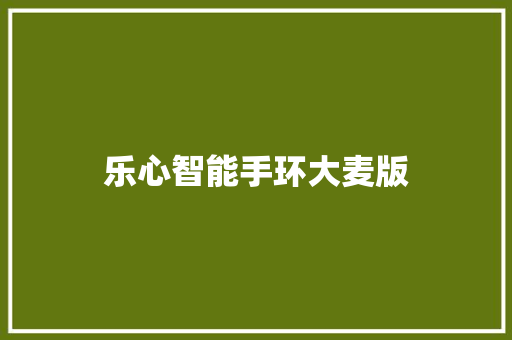乐心智能手环大麦版