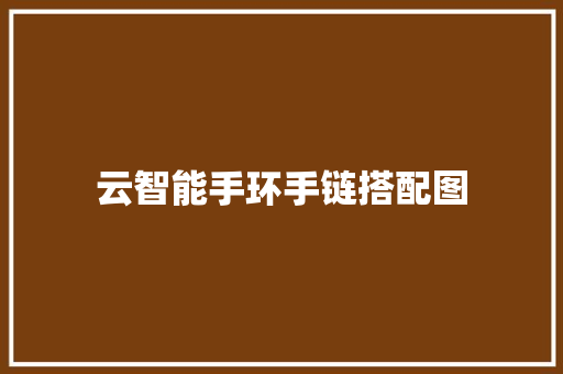 云智能手环手链搭配图