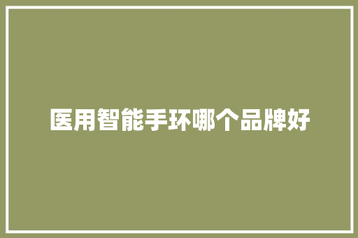 医用智能手环哪个品牌好